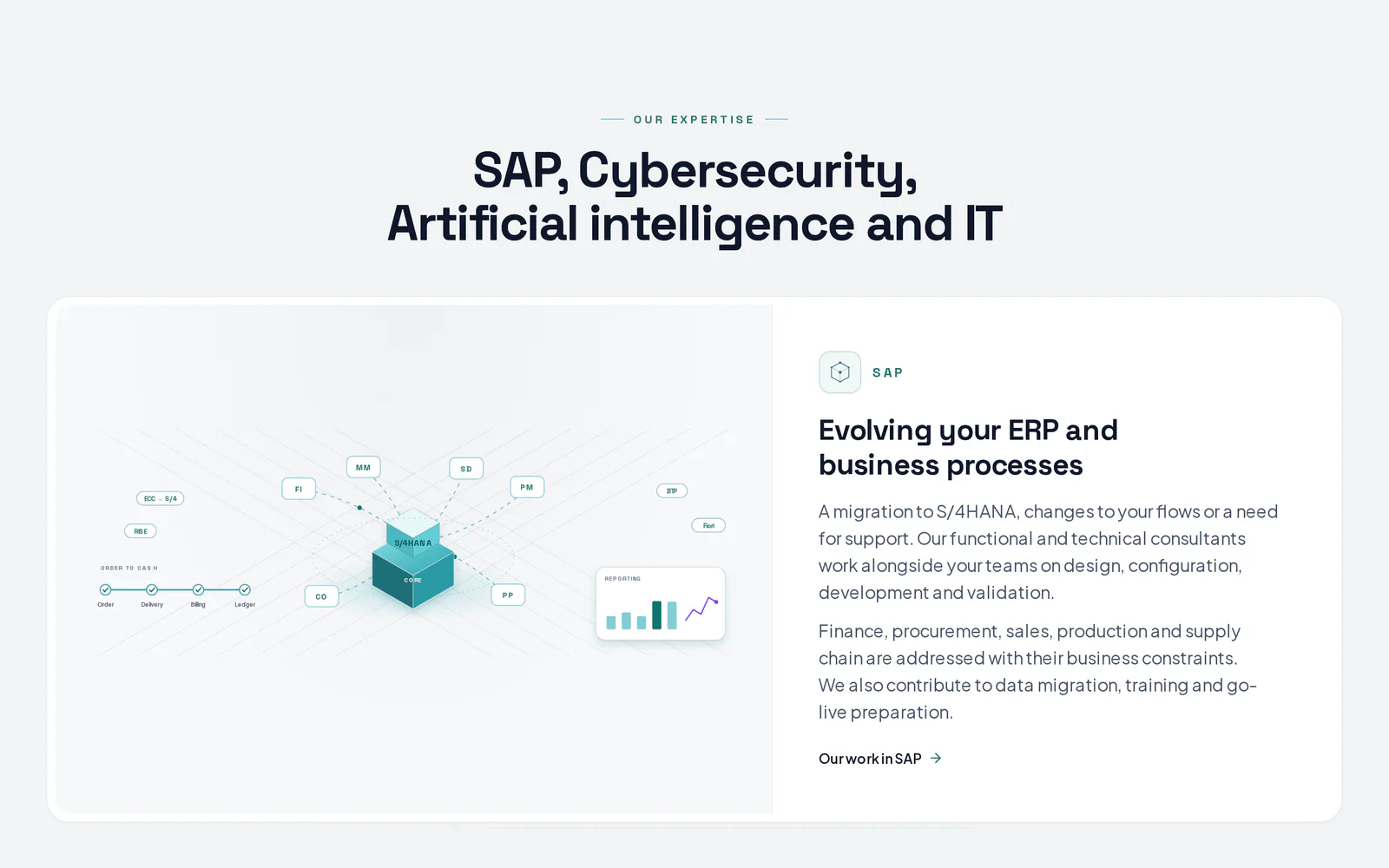 ebmcgroup.eu: the SAP card, one of four expertise cards, each with its own animated SVG scene.